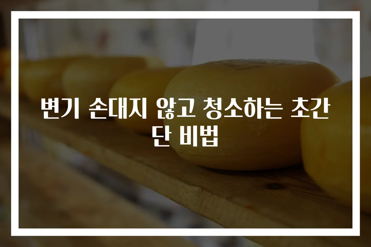 변기 손대지 않고 청소하는 초간단 비법
