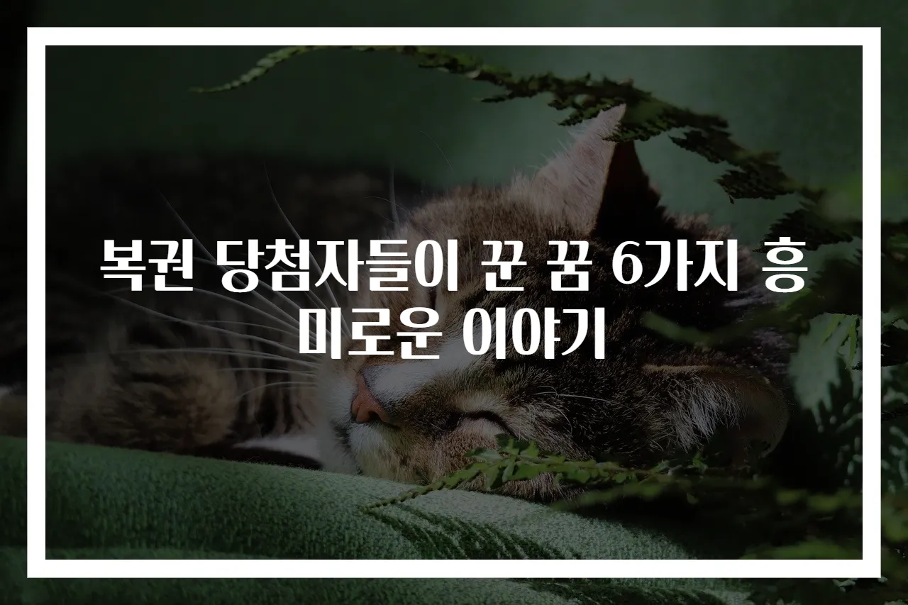 복권 당첨자들이 꾼 꿈 6가지 흥미로운 이야기