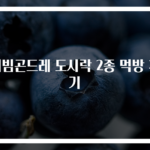 비빔곤드레 도시락 2종 먹방 후기