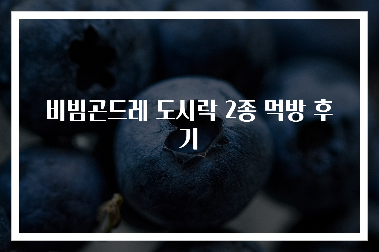 비빔곤드레 도시락 2종 먹방 후기