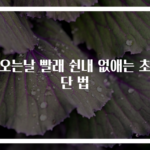 비오는날 빨래 쉰내 없애는 초간단 법