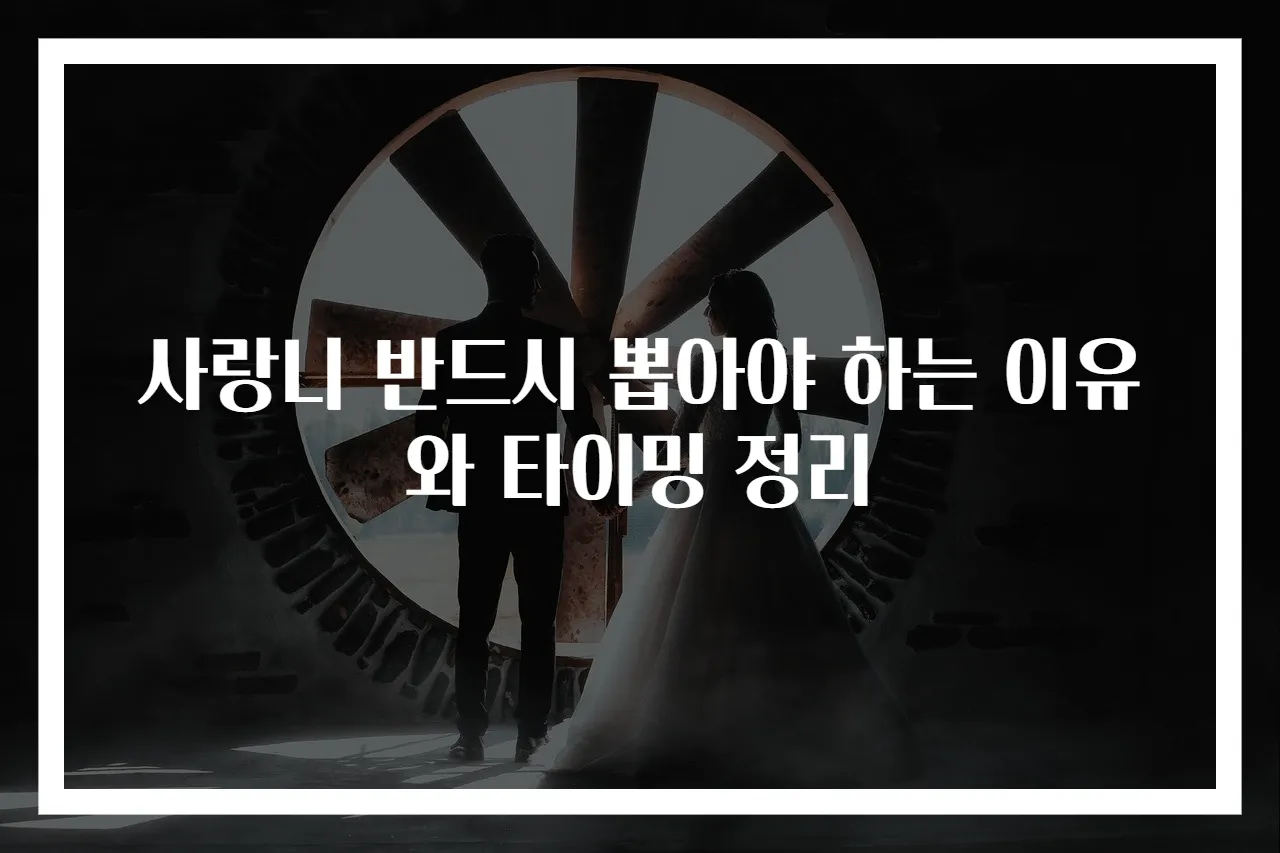 사랑니 반드시 뽑아야 하는 이유와 타이밍 정리