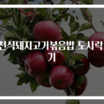 사천식돼지고기볶음밥 도시락 후기