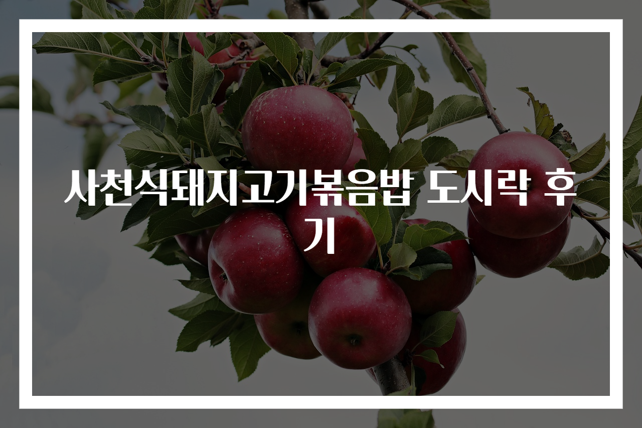 사천식돼지고기볶음밥 도시락 후기