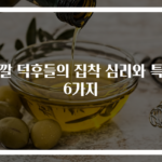 색깔 덕후들의 집착 심리와 특징 6가지