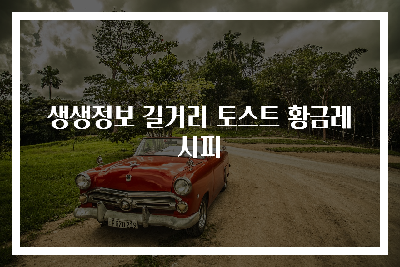 생생정보 길거리 토스트 황금레시피