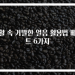 생활 속 기발한 얼음 활용법 베스트 6가지