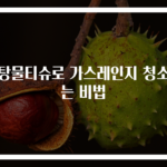 설탕물티슈로 가스레인지 청소하는 비법