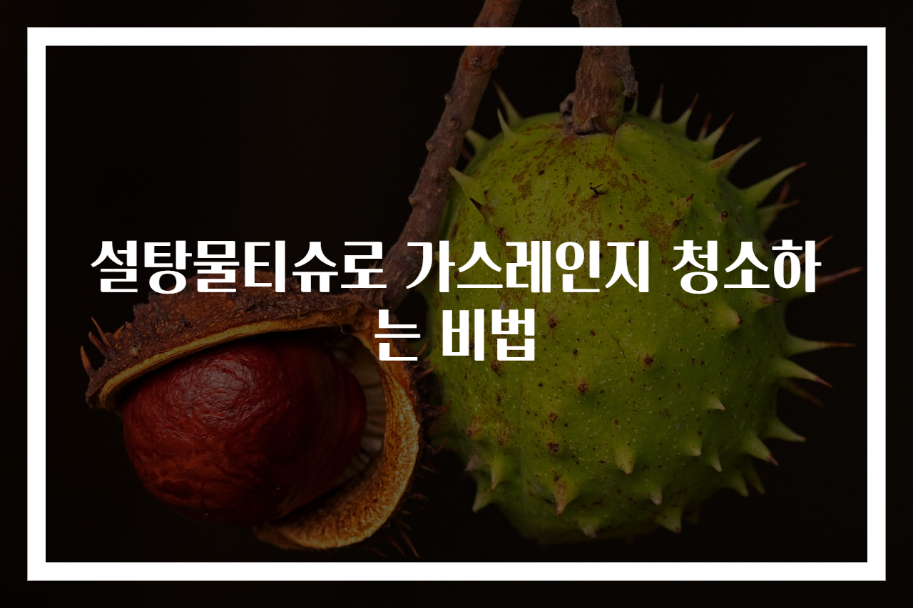 설탕물티슈로 가스레인지 청소하는 비법