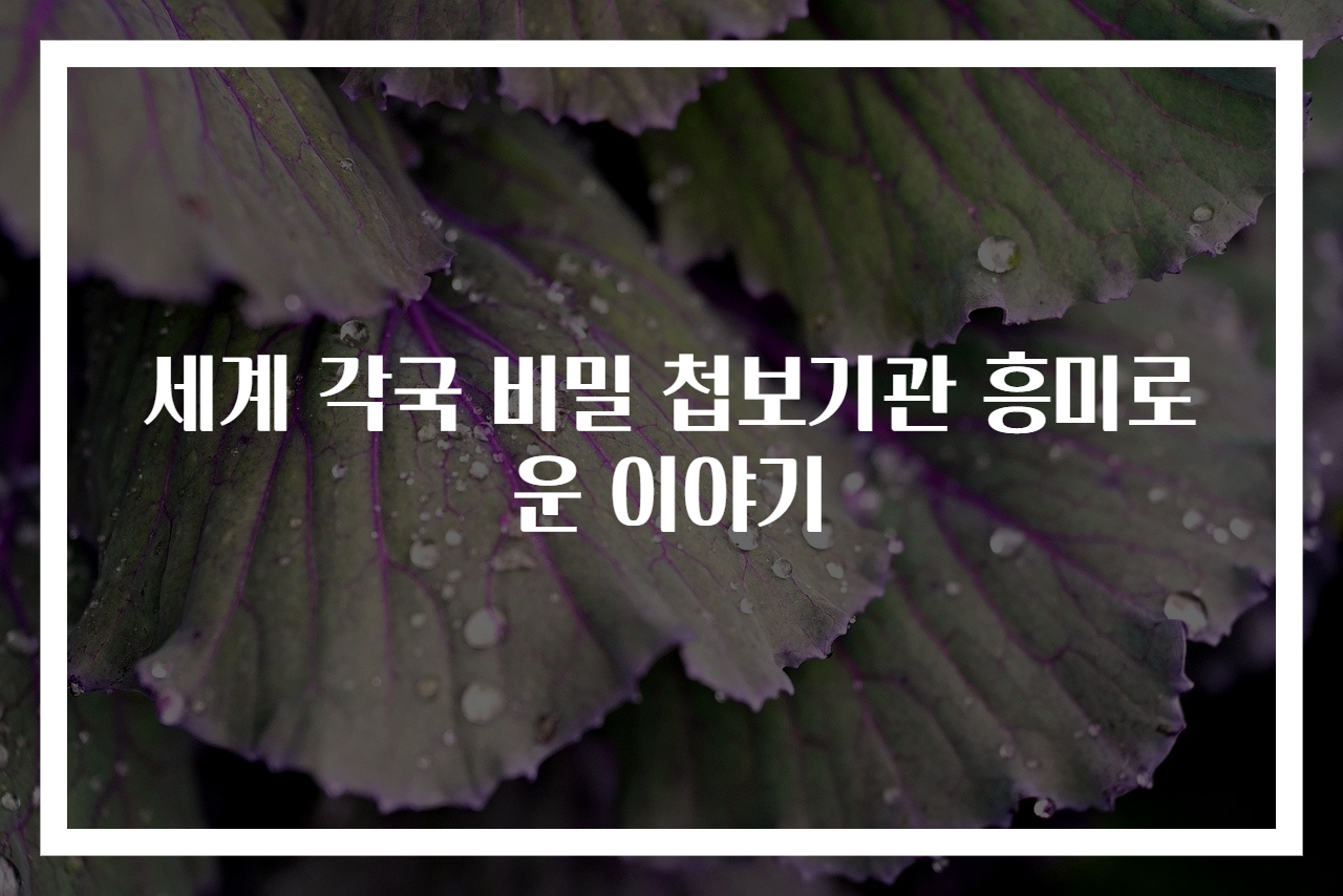 세계 각국 비밀 첩보기관 흥미로운 이야기