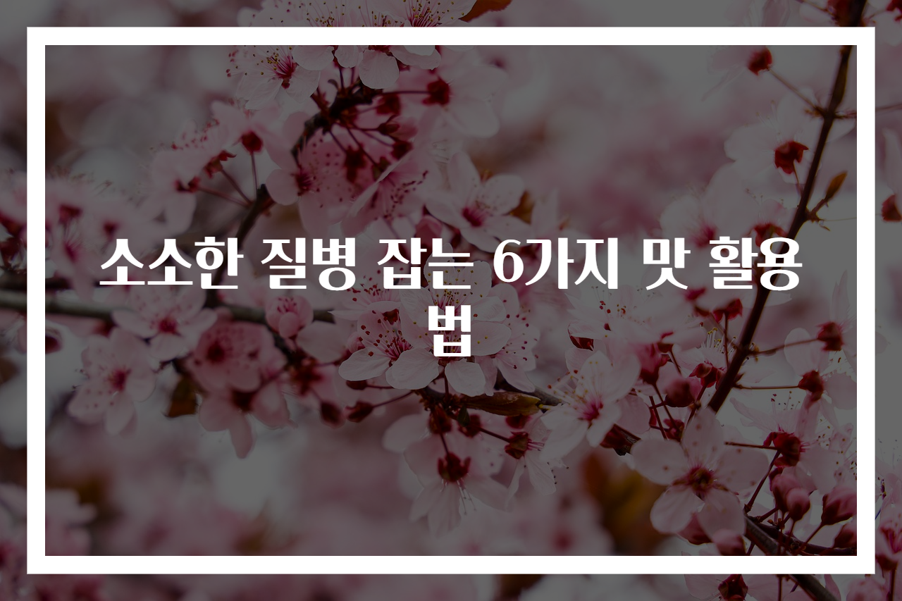 소소한 질병 잡는 6가지 맛 활용법