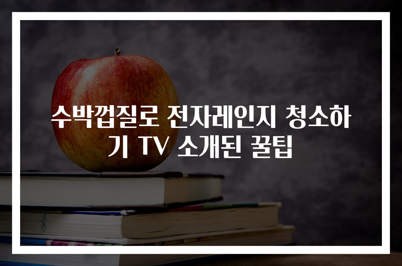 수박껍질로 전자레인지 청소하기 TV 소개된 꿀팁