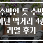 수박인 듯 수박 아닌 먹거리 4종 리얼 후기