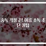 식중독 걱정 끝! 여름 소독 초간단 꿀팁