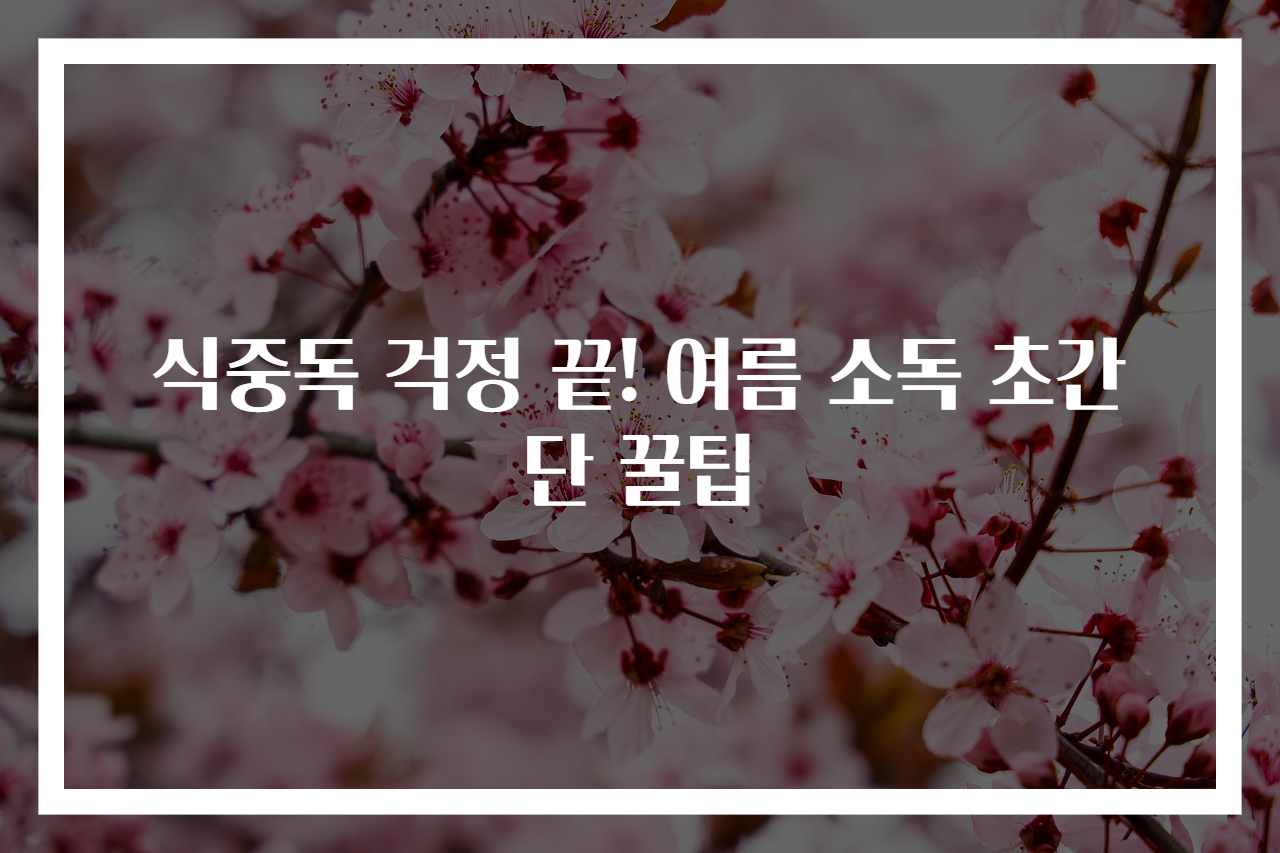 식중독 걱정 끝! 여름 소독 초간단 꿀팁