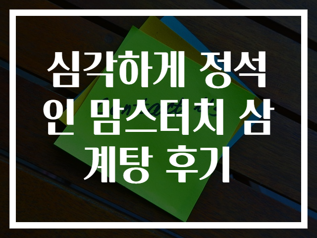 심각하게 정석인 맘스터치 삼계탕 후기