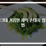 싱크대 거름망 세척 손대지 않는 법