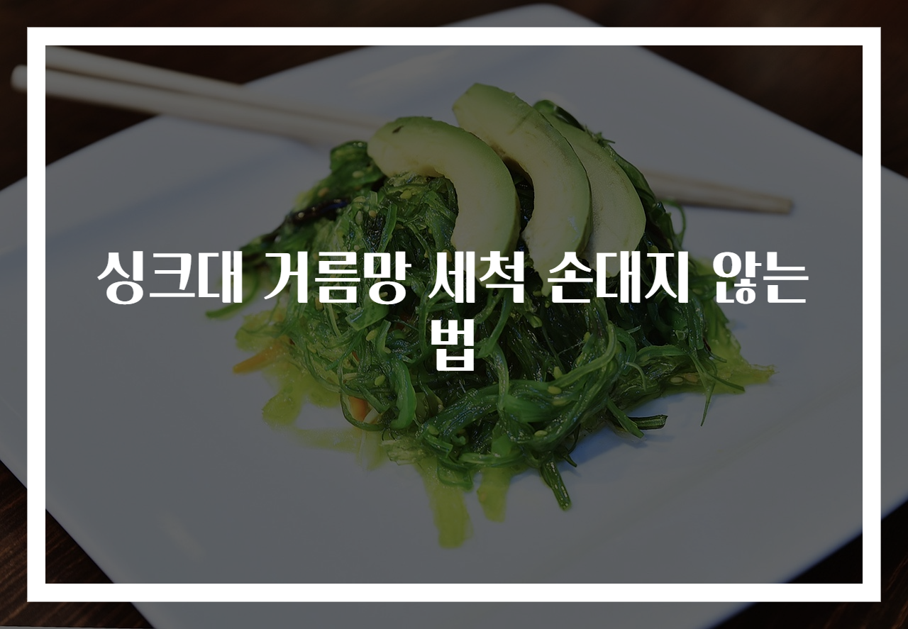 싱크대 거름망 세척 손대지 않는 법