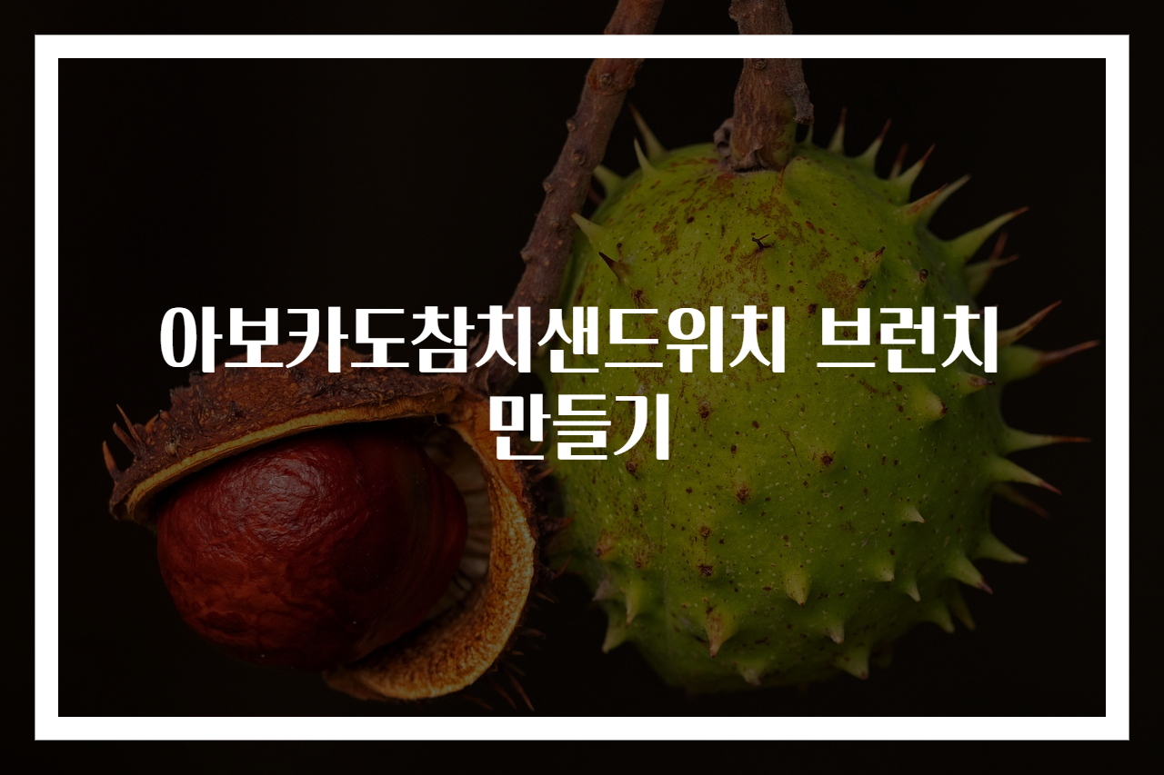 아보카도참치샌드위치 브런치 만들기