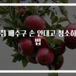 악취 배수구 손 안대고 청소하는 법