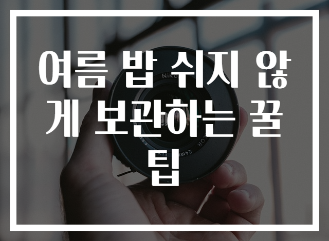 여름 밥 쉬지 않게 보관하는 꿀팁