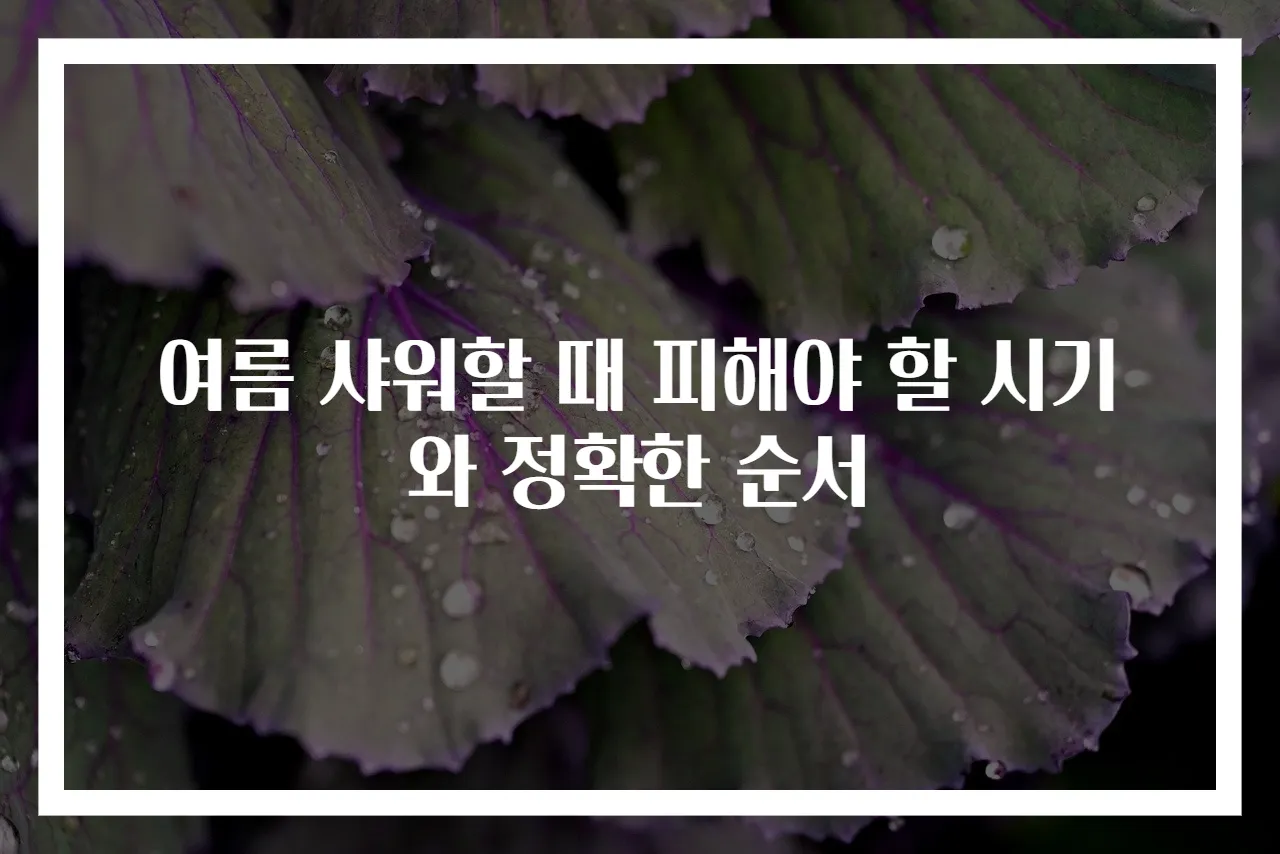 여름 샤워할 때 피해야 할 시기와 정확한 순서