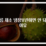 여름 채소 냉장보관하면 안 되는 이유