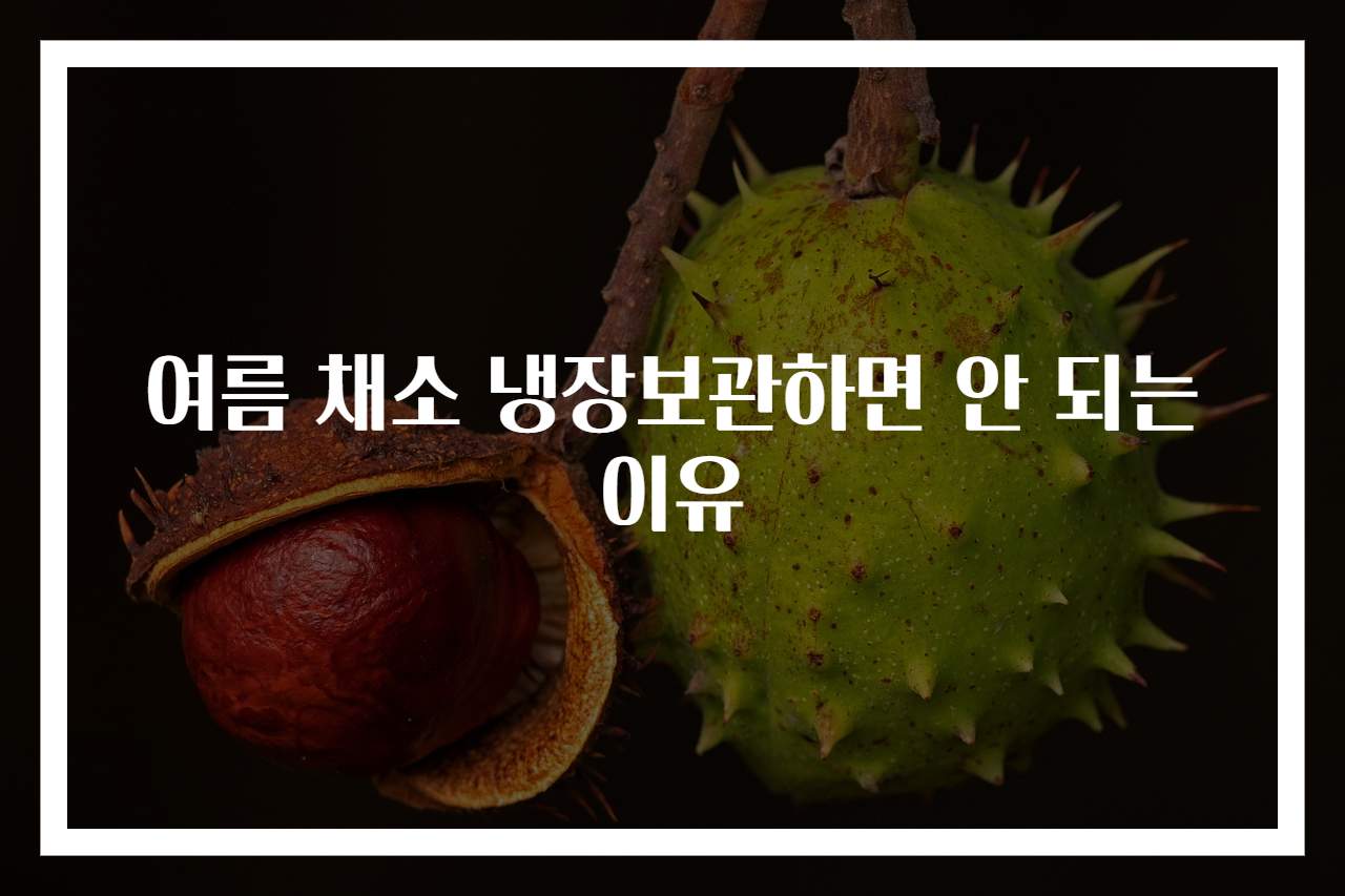 여름 채소 냉장보관하면 안 되는 이유