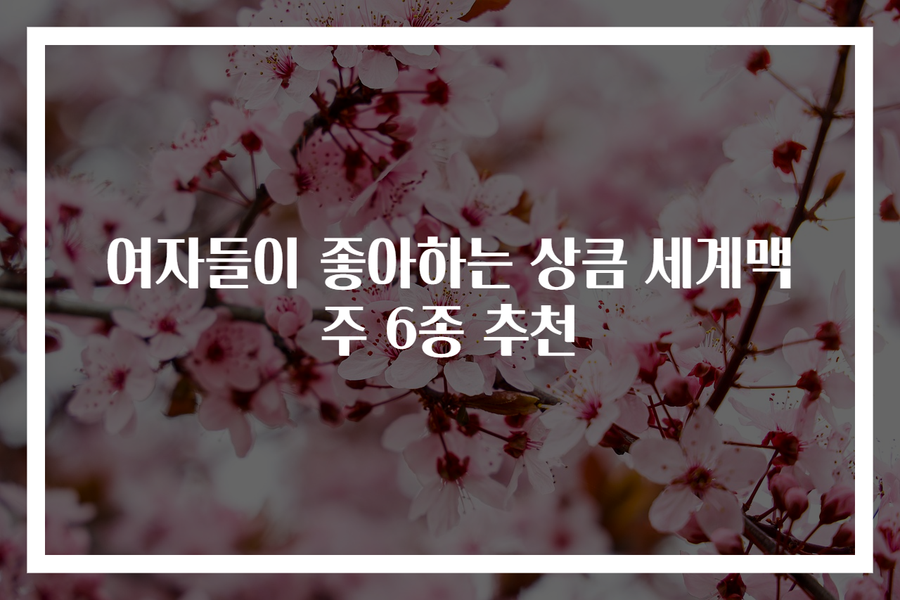 여자들이 좋아하는 상큼 세계맥주 6종 추천