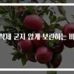접착제 굳지 않게 보관하는 비법