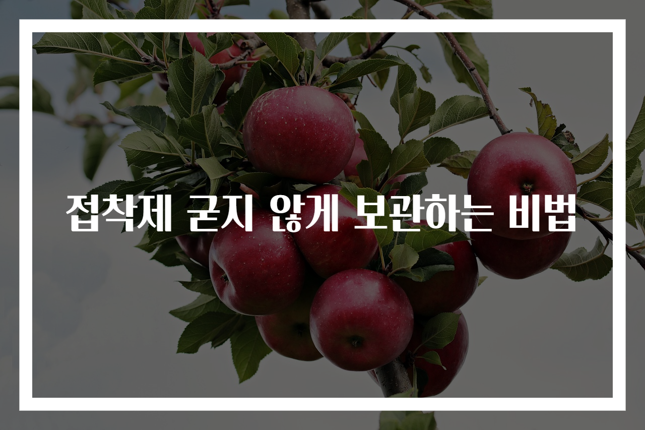 접착제 굳지 않게 보관하는 비법