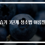 제습기 3단계 청소법 여름필수