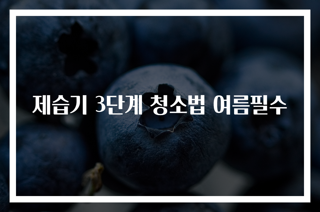 제습기 3단계 청소법 여름필수