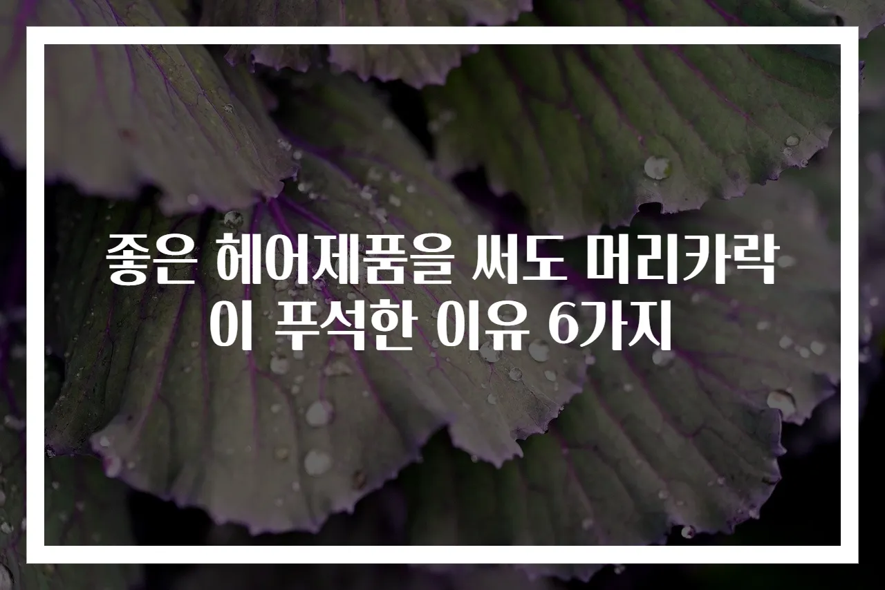 좋은 헤어제품을 써도 머리카락이 푸석한 이유 6가지