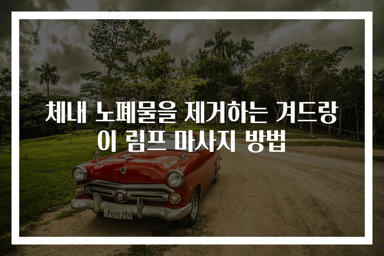 체내 노폐물을 제거하는 겨드랑이 림프 마사지 방법