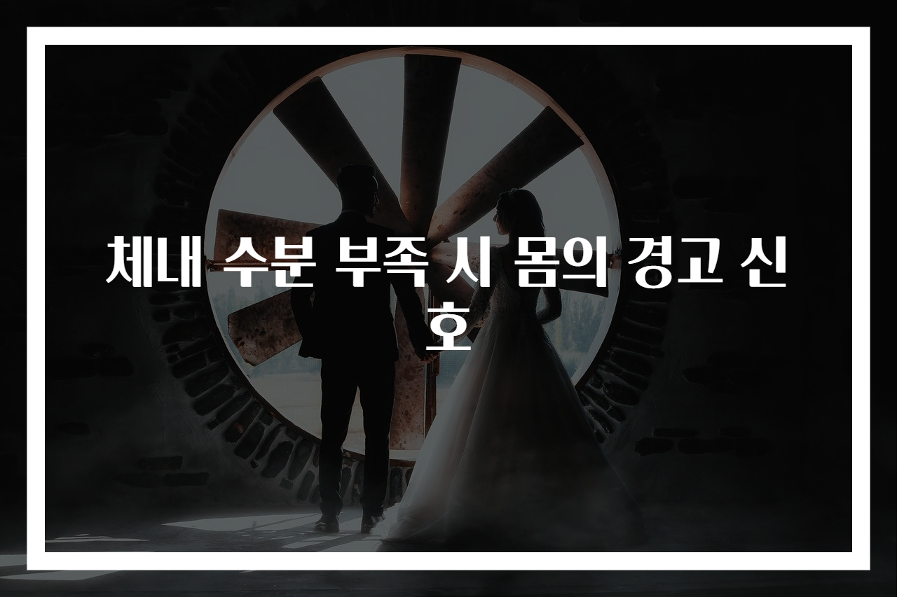 체내 수분 부족 시 몸의 경고 신호