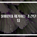 컵 물비린내 제거하는 초간단 꿀팁