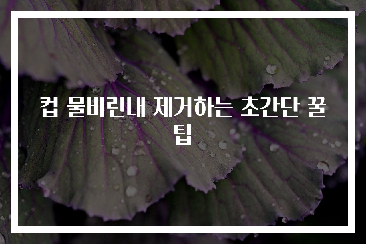 컵 물비린내 제거하는 초간단 꿀팁
