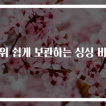 키위 쉽게 보관하는 싱싱 비법