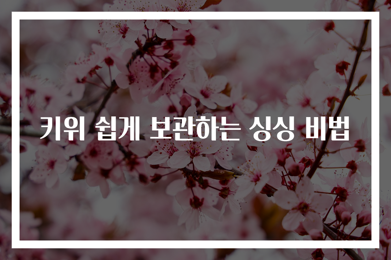 키위 쉽게 보관하는 싱싱 비법