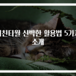 키친타월 신박한 활용법 5가지 소개