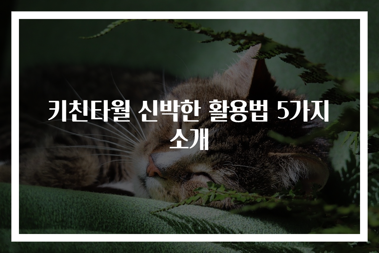 키친타월 신박한 활용법 5가지 소개