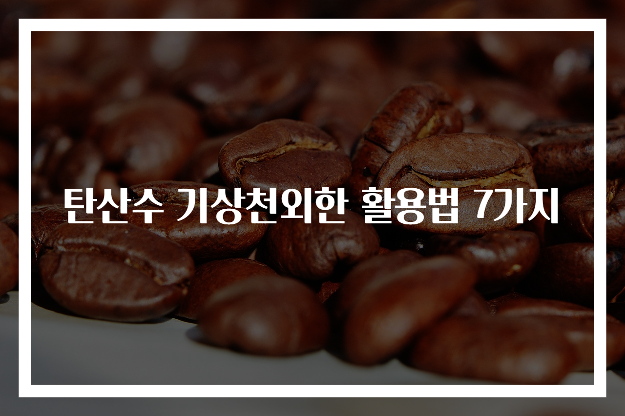 탄산수 기상천외한 활용법 7가지