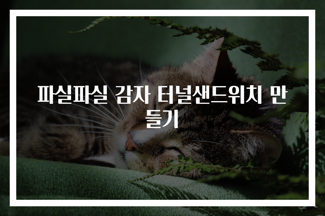 파실파실 감자 터널샌드위치 만들기