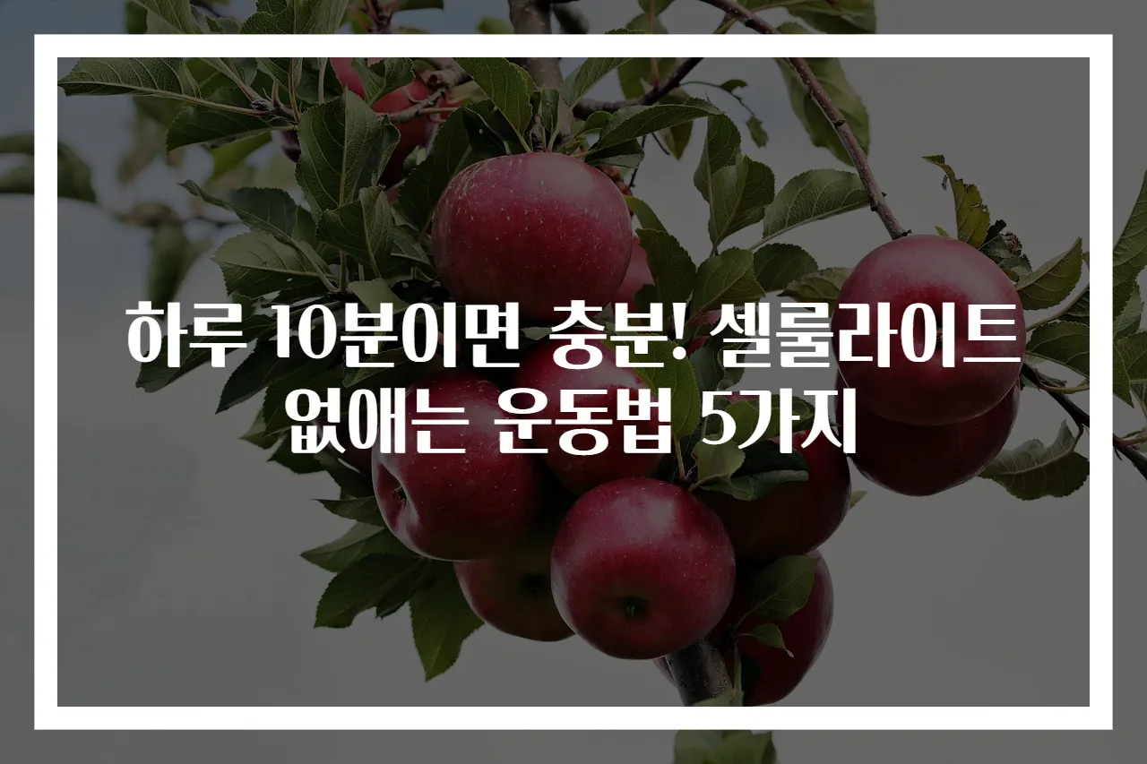 하루 10분이면 충분! 셀룰라이트 없애는 운동법 5가지