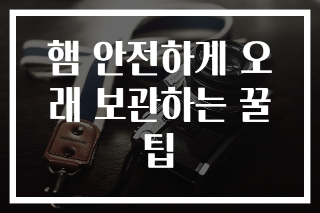 햄 안전하게 오래 보관하는 꿀팁