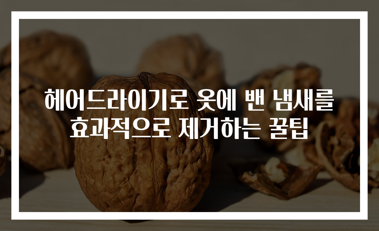 헤어드라이기로 옷에 밴 냄새를 효과적으로 제거하는 꿀팁