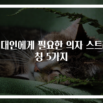 현대인에게 필요한 의자 스트레칭 5가지