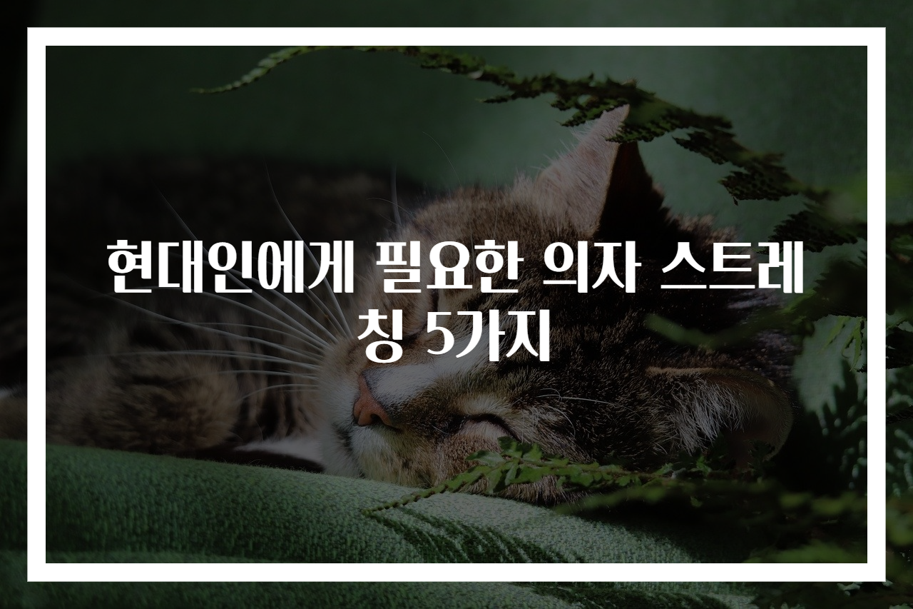 현대인에게 필요한 의자 스트레칭 5가지