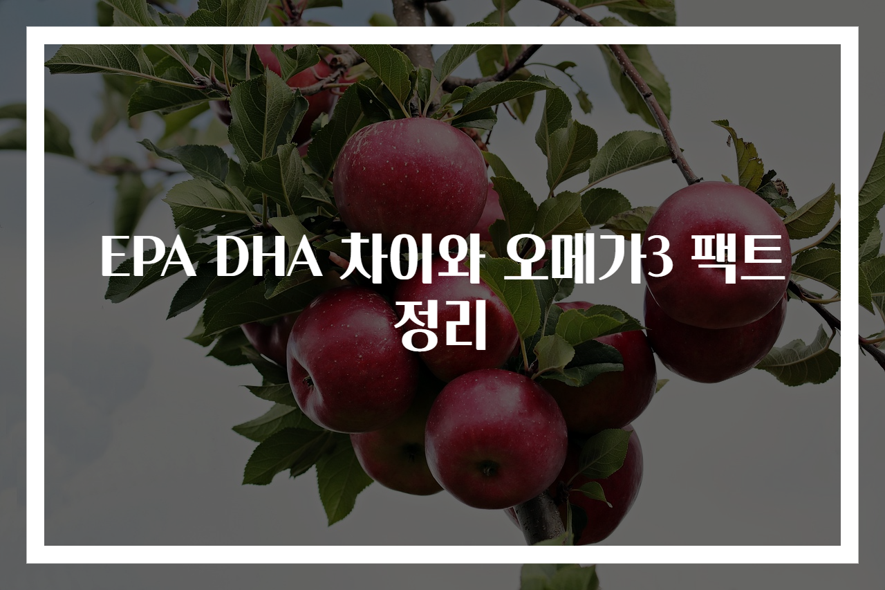 EPA DHA 차이와 오메가3 팩트 정리